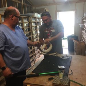 Meet your Posher, Aaron